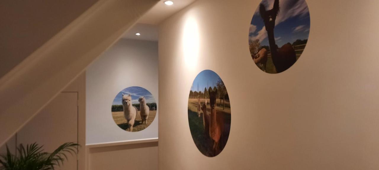 B&B De Raamberg Zundert Kültér fotó