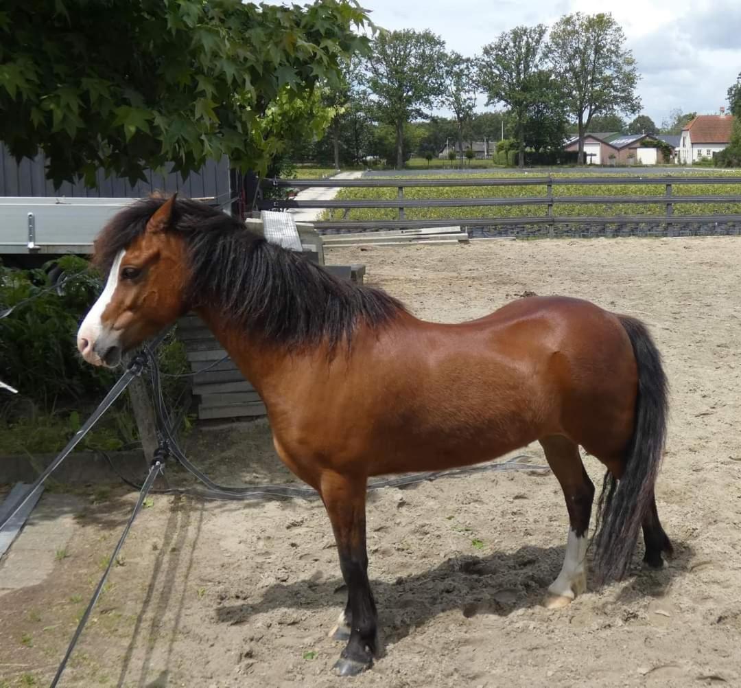 B&B De Raamberg Zundert Kültér fotó