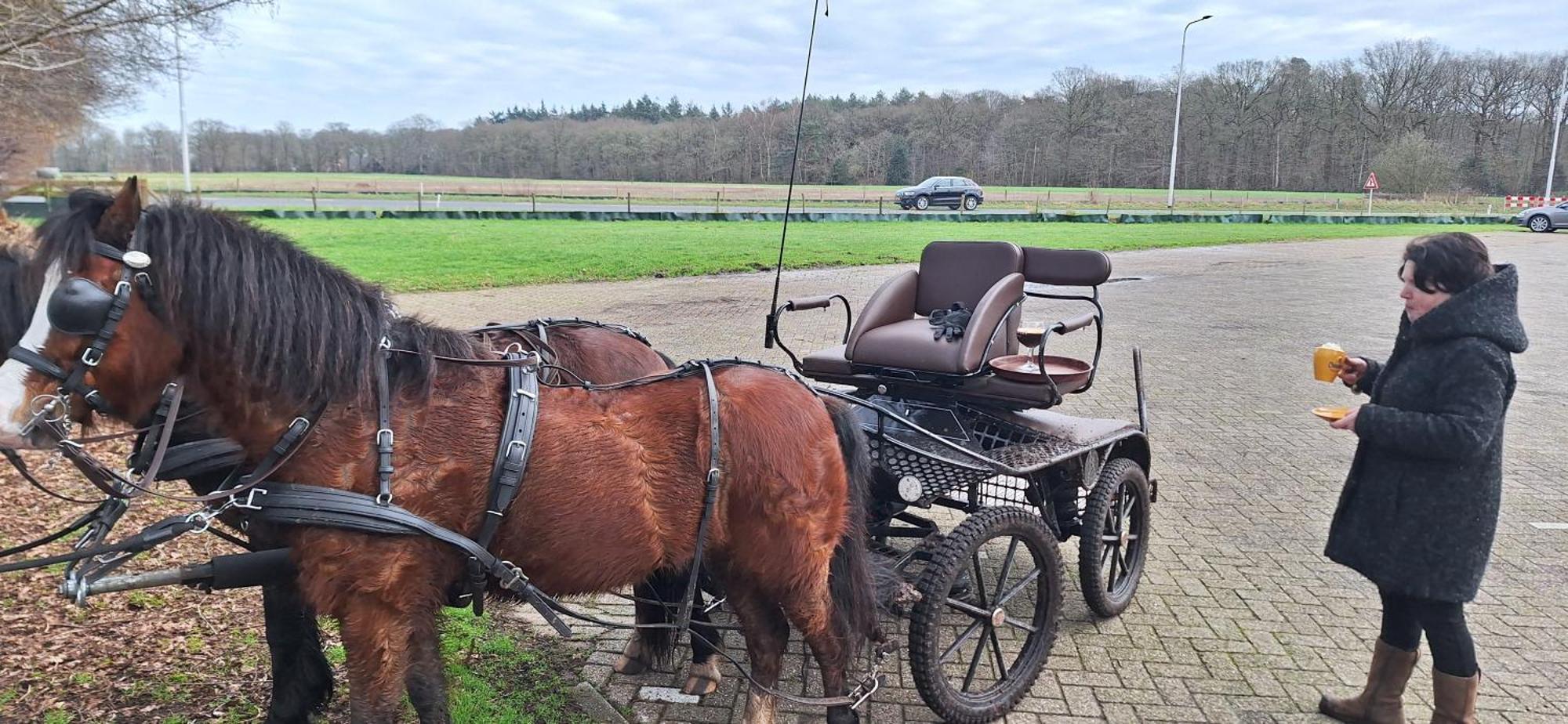 B&B De Raamberg Zundert Kültér fotó